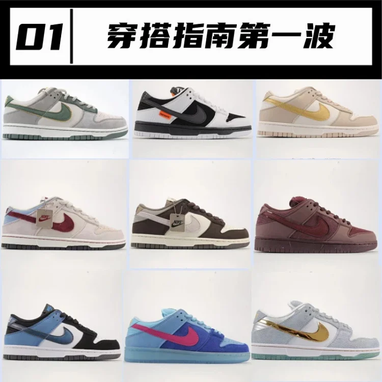 Nike Dunk Skate shoes