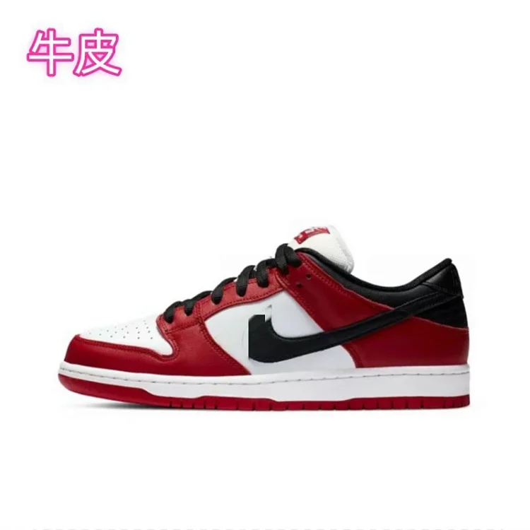 Nike Dunk Skate shoes